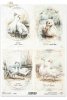 gęsie, gąski, wiejskie zwierzęta, wiosenne klimaty, rustykalny styl*geese, countryside animals, spring breeding, rustic style*Gänse, Tiere auf dem Lande, Frühjahrsaufzucht, rustikaler Stil